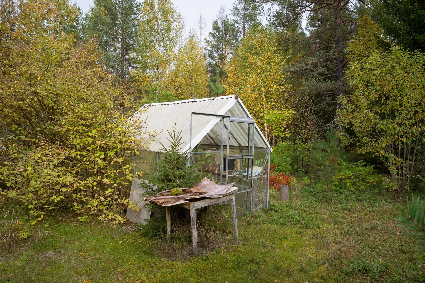 Villa, Södra Ytterstfors 43, Byske centralt, Skellefteå