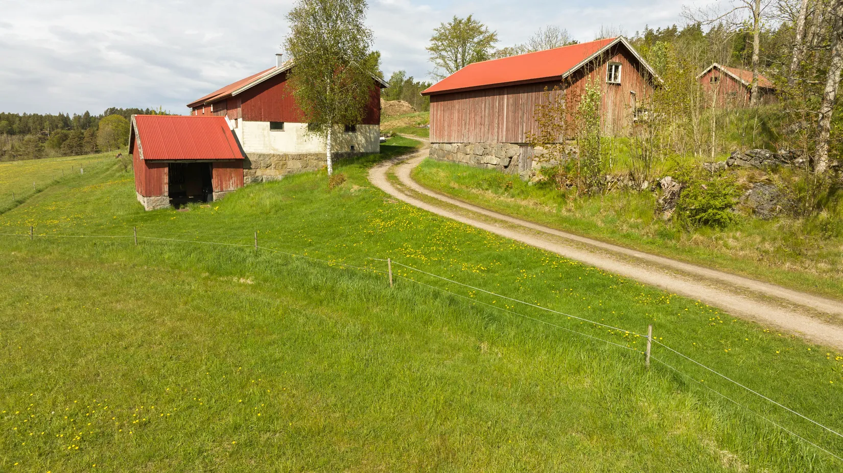 Gård/Skog, Synnebol 155, Uddevalla