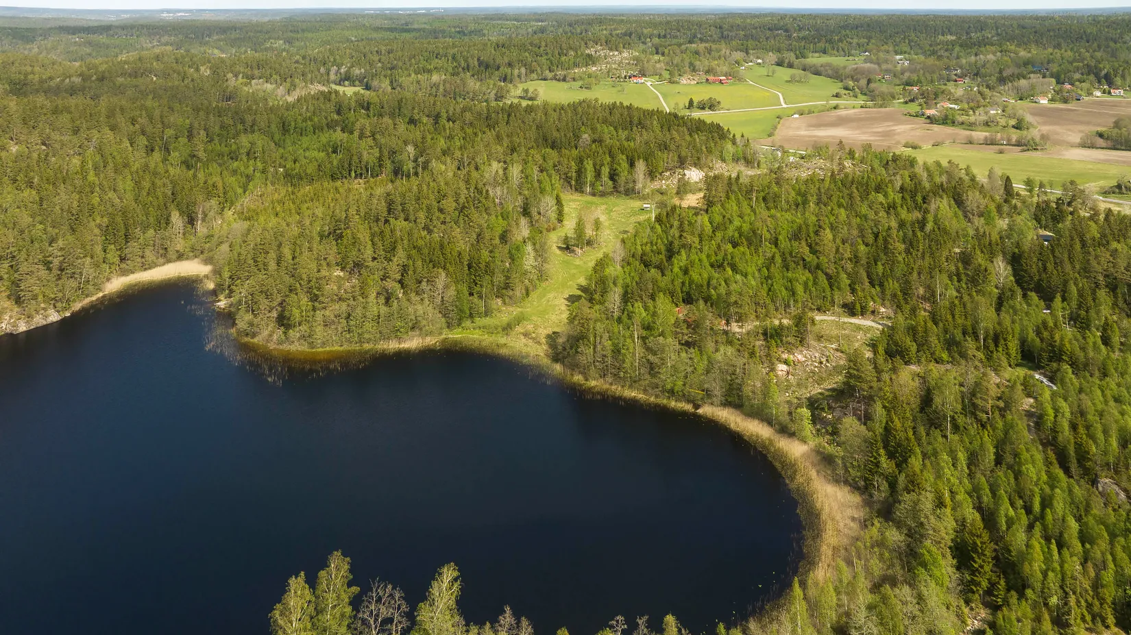 Gård/Skog, Synnebol 155, Uddevalla