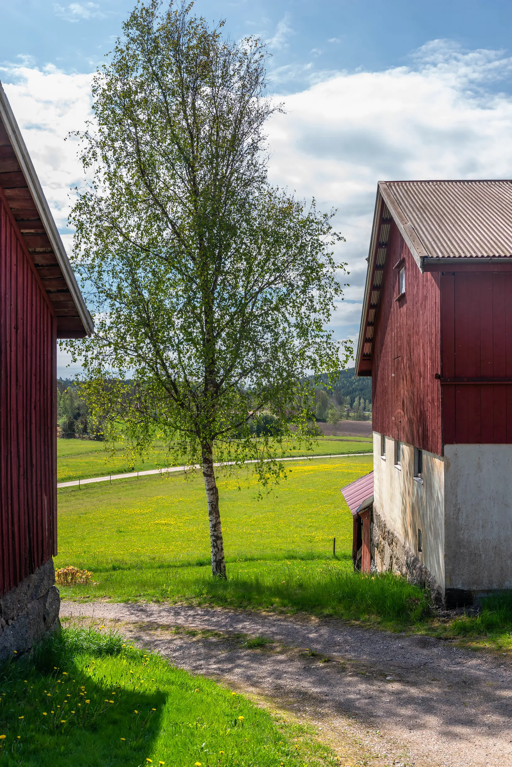 Gård/Skog, Synnebol 155, Uddevalla