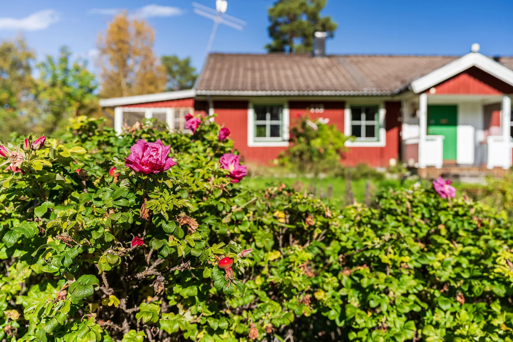 Villa, Grönviken 115, Östersund