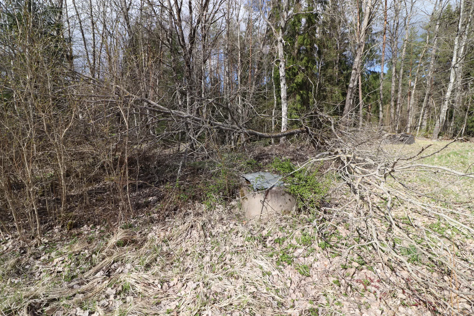 Tomt, Knutby-Åsby Rosendal 161, Uppland, Uppsala
