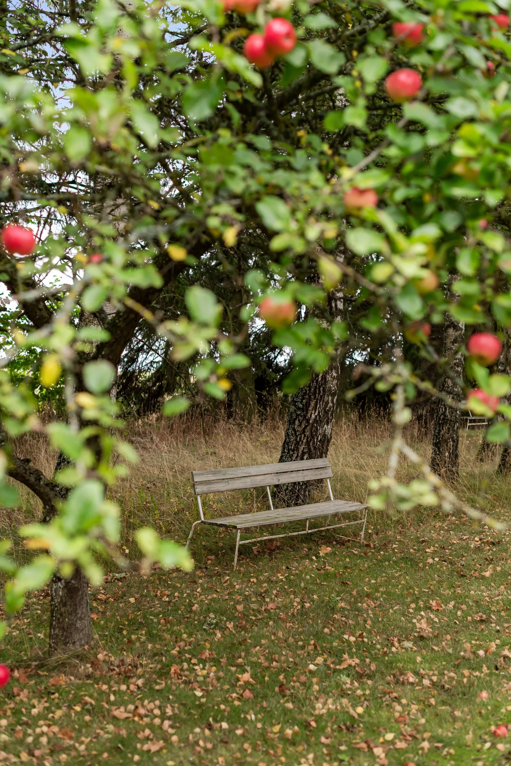 Gård/Skog, Risberga Sörgården 660, Motala