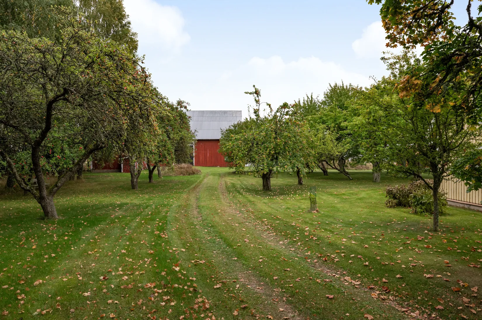 Gård/Skog, Risberga Sörgården 660, Motala