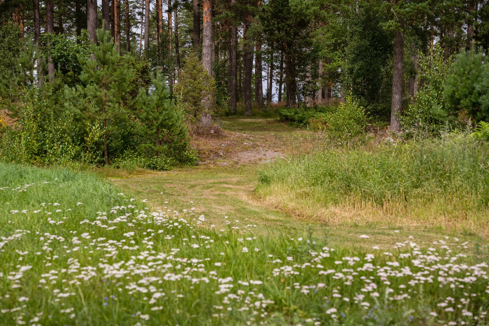Gård/Skog, Lövudden 1, Sankt Anna, Söderköping