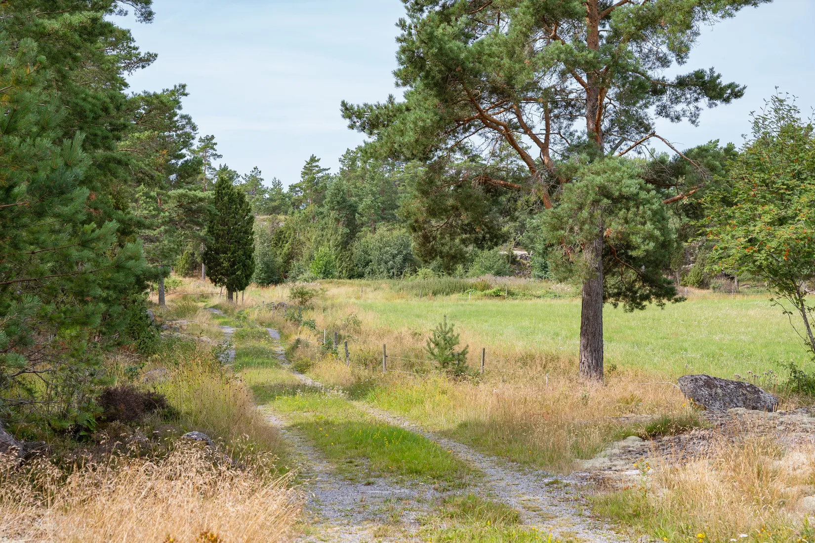 Gård/Skog, Lövudden 1, Sankt Anna, Söderköping