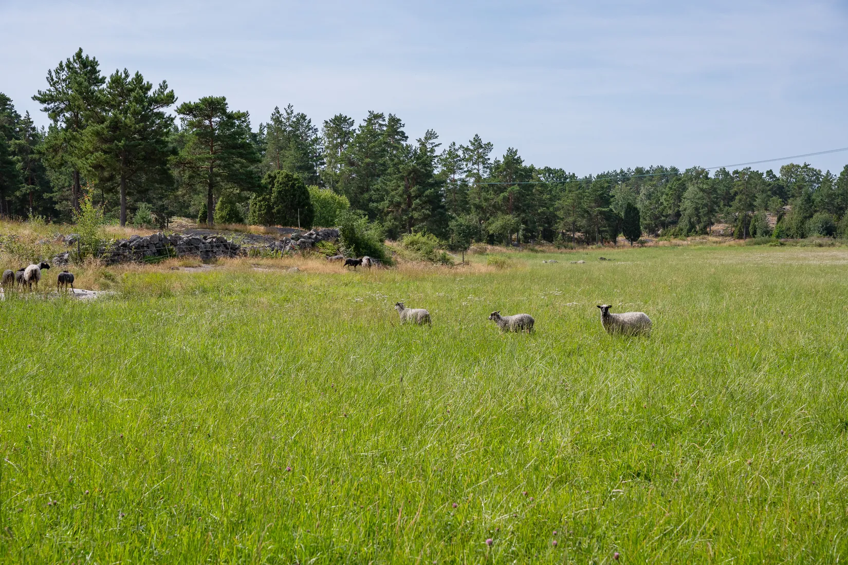 Gård/Skog, Lövudden 1, Sankt Anna, Söderköping