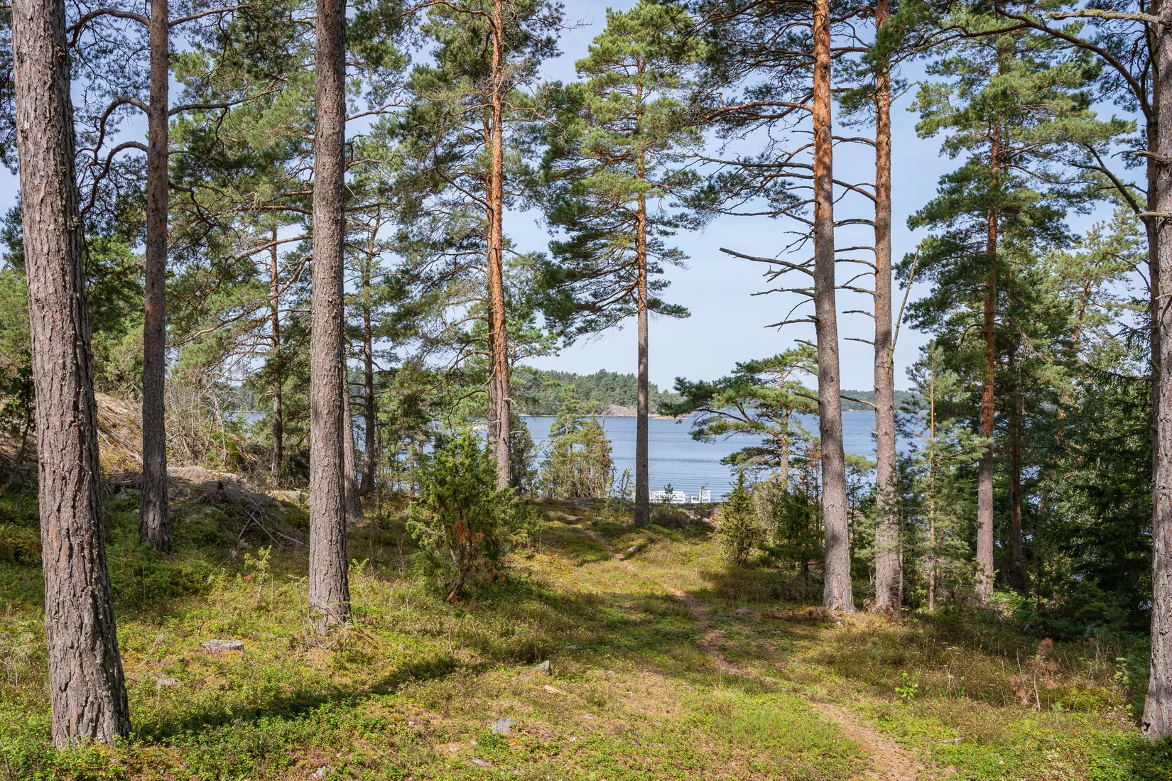 Gård/Skog, Lövudden 1, Sankt Anna, Söderköping