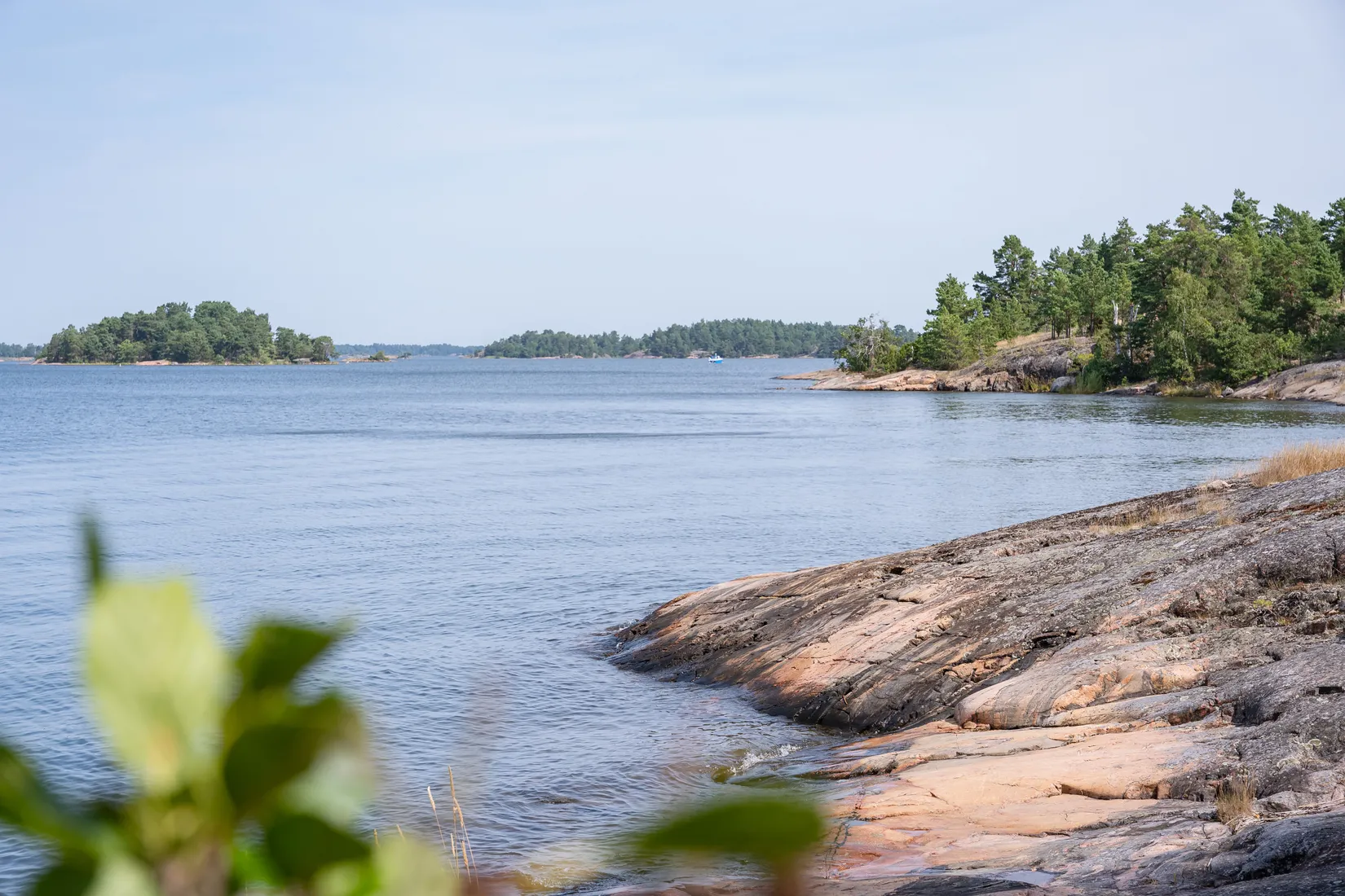 Gård/Skog, Lövudden 1, Sankt Anna, Söderköping