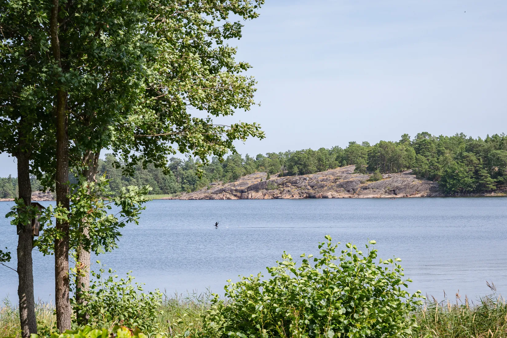 Gård/Skog, Lövudden 1, Sankt Anna, Söderköping