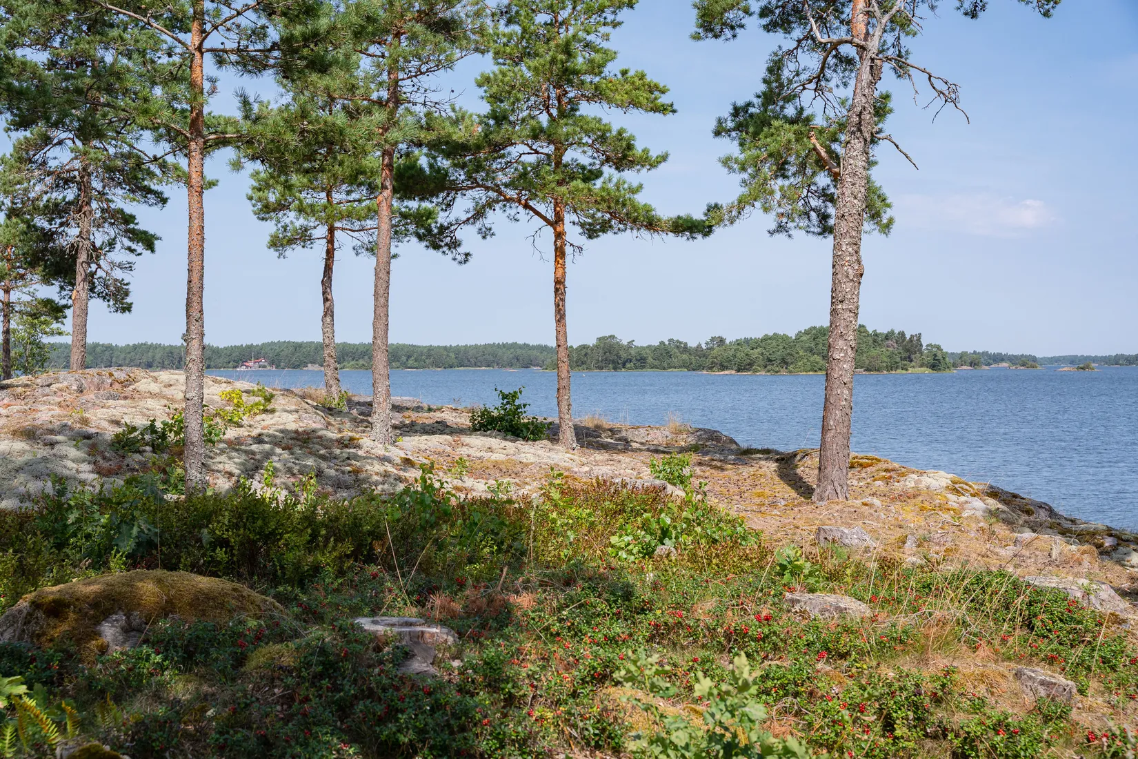 Gård/Skog, Lövudden 1, Sankt Anna, Söderköping