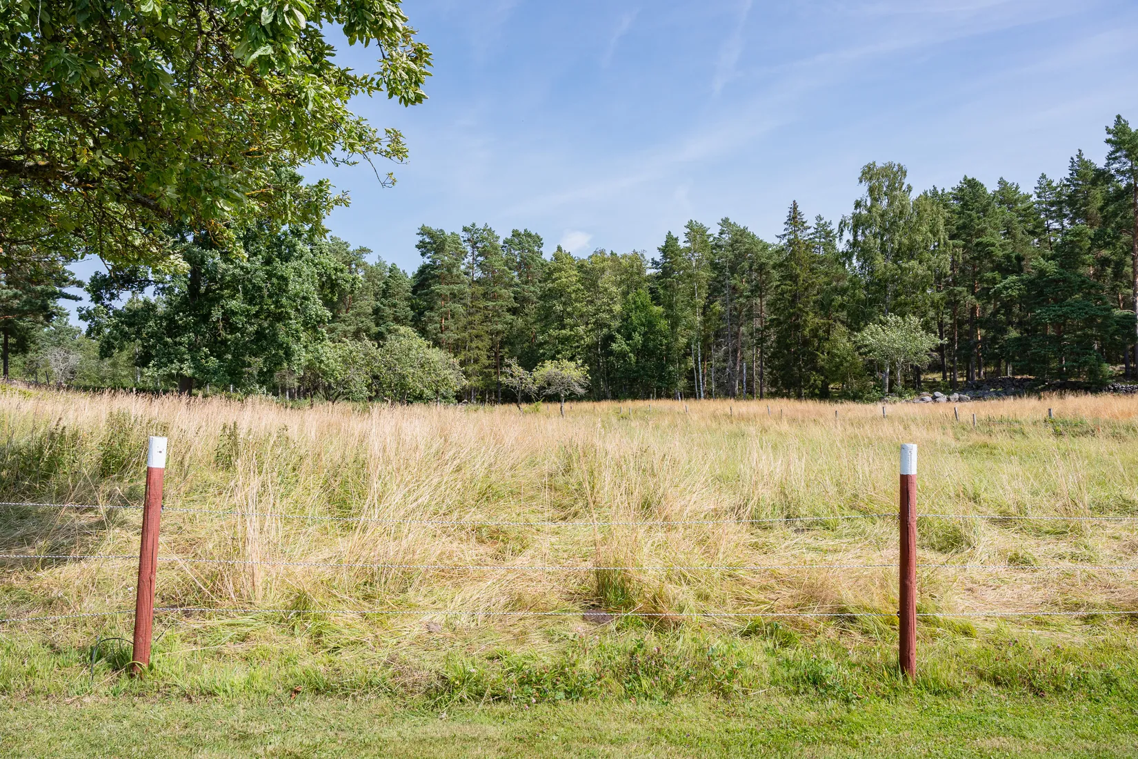 Gård/Skog, Lövudden 1, Sankt Anna, Söderköping