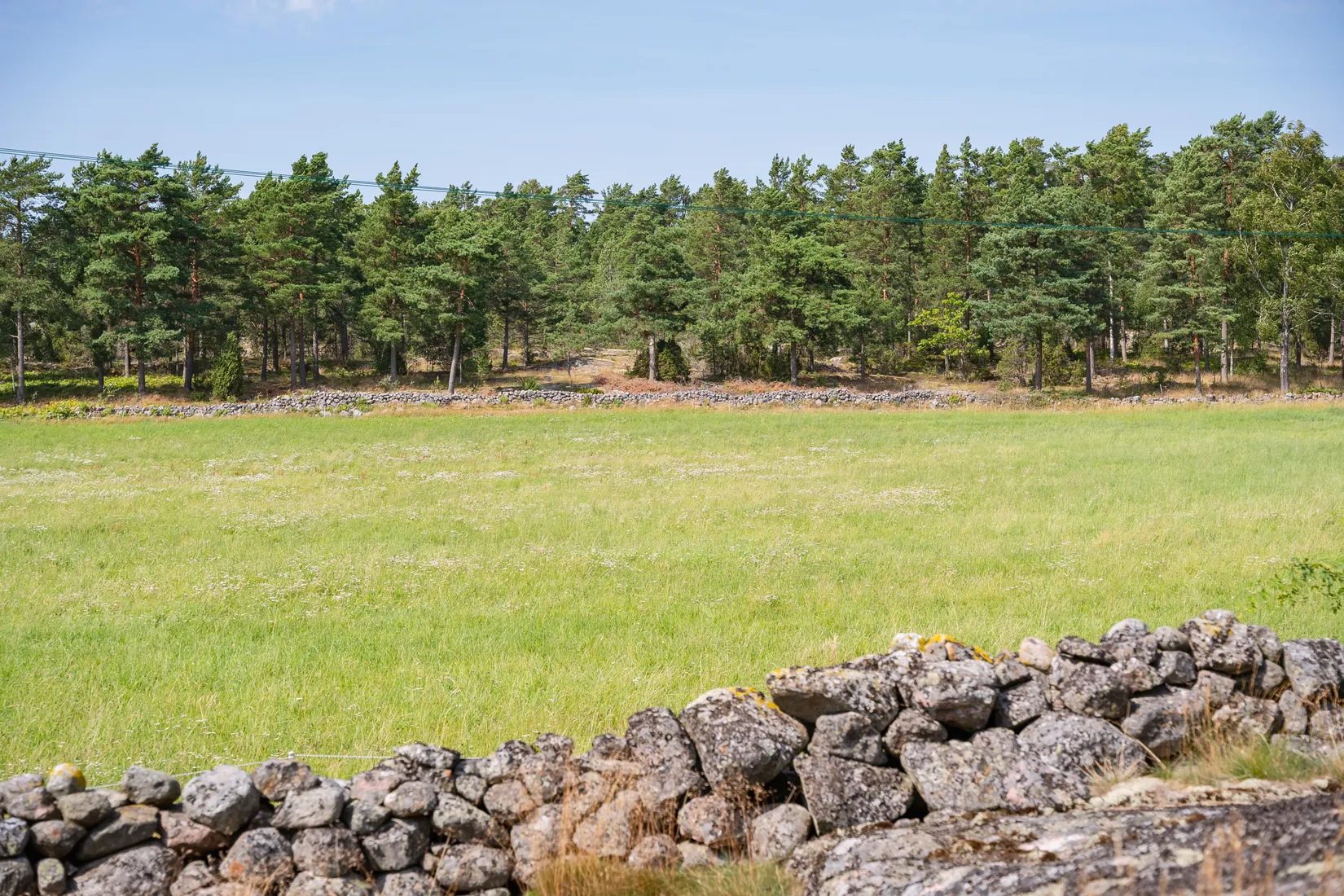 Gård/Skog, Lövudden 1, Sankt Anna, Söderköping