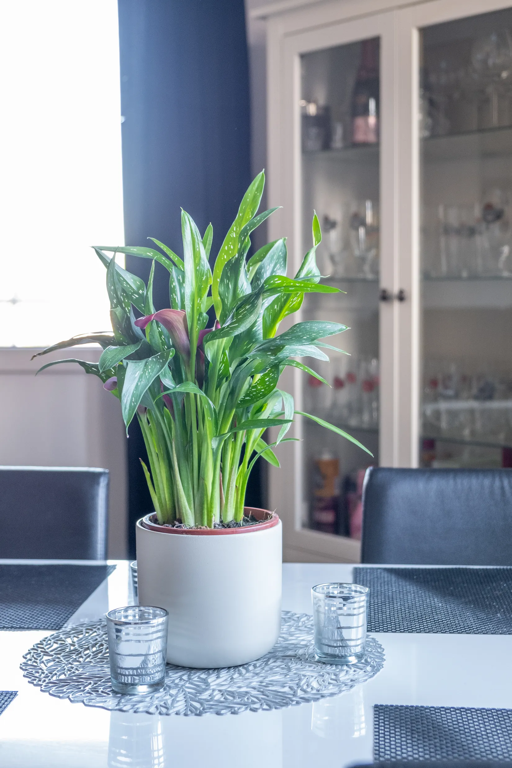 Bostadsrätt, Lundbladsvägen 11A, Sveaplan, Eskilstuna