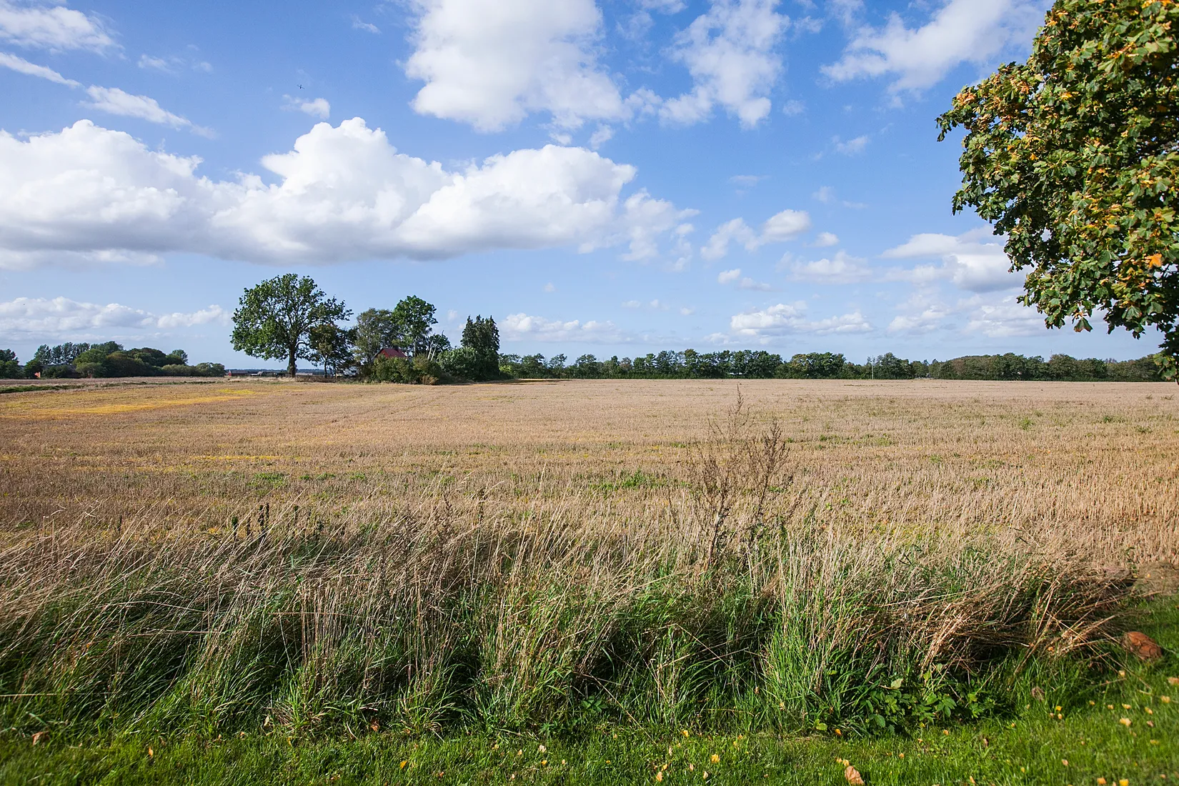 Villa, Enegårdsvägen 10, Bjuv