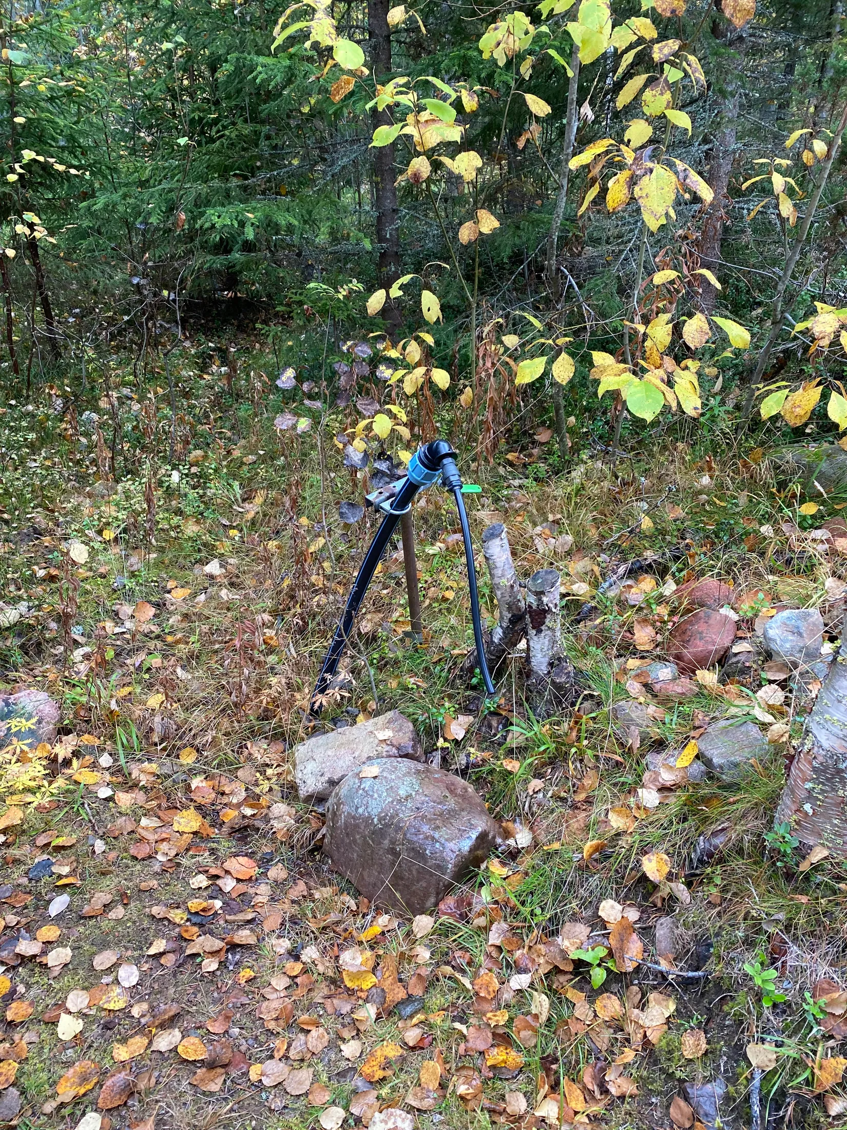 Fritidshus, Lill-Vasselnäs 22B, Lill Vasselnäs, Mora