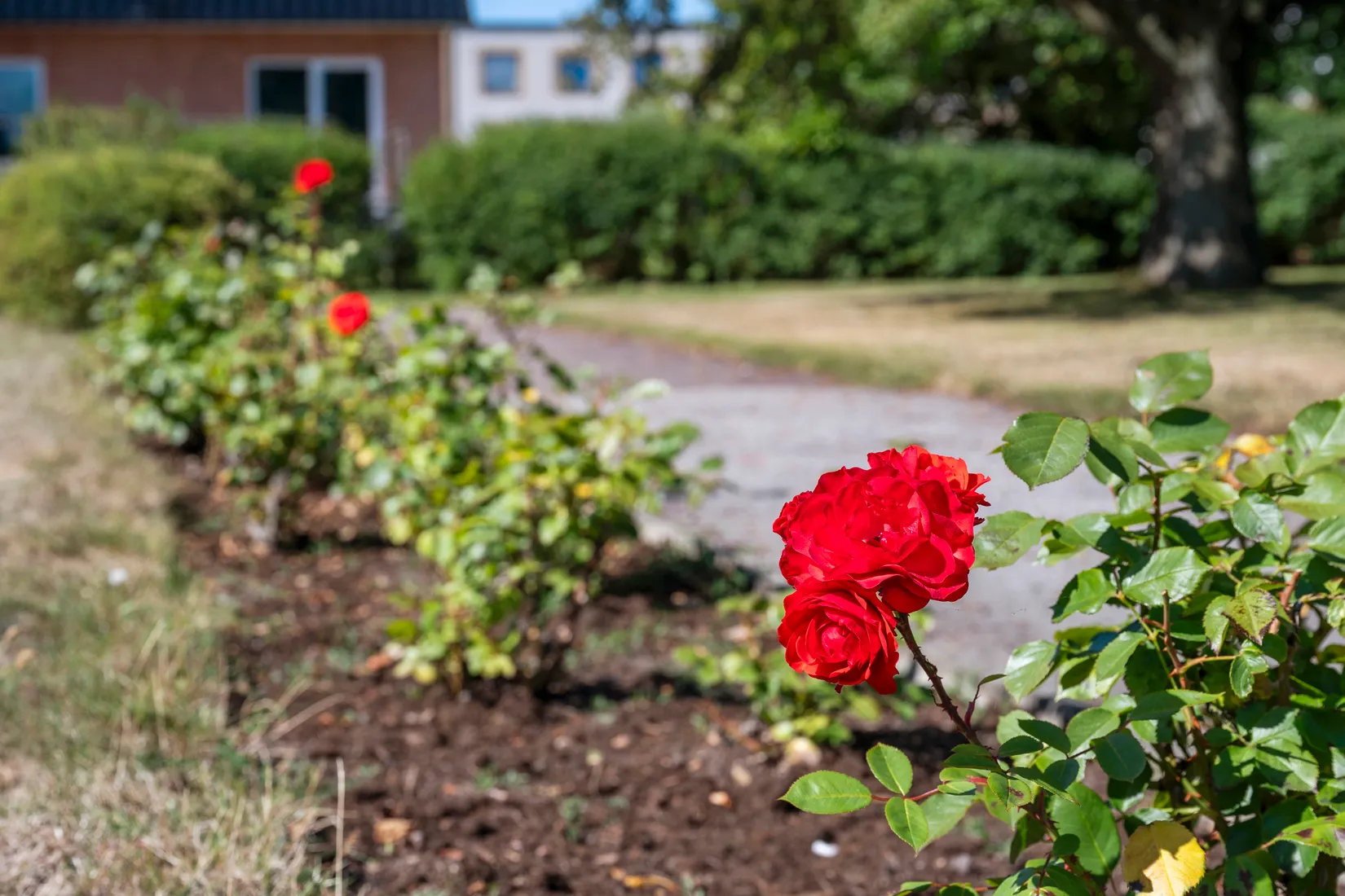 Villa, Smålandsvägen 9, Staffanstorp - Centrum, Staffanstorp