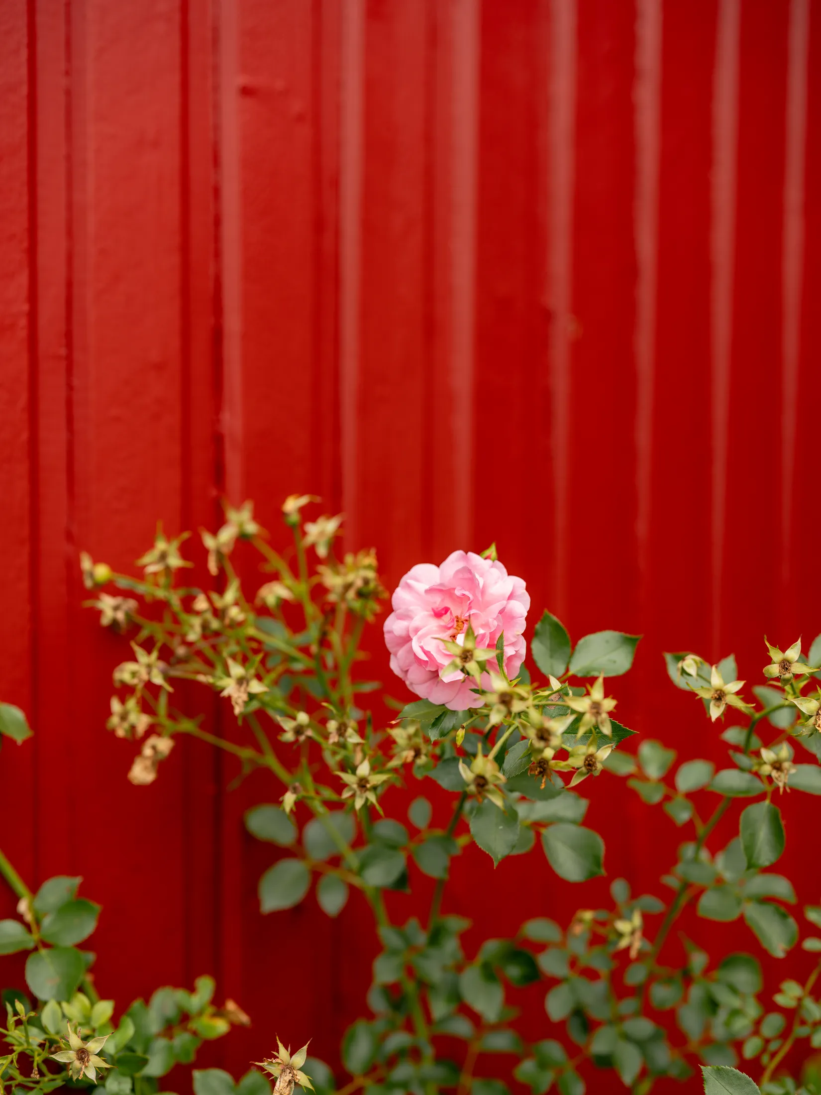 Radhus, Byvägen 29, Ella Gård, Täby