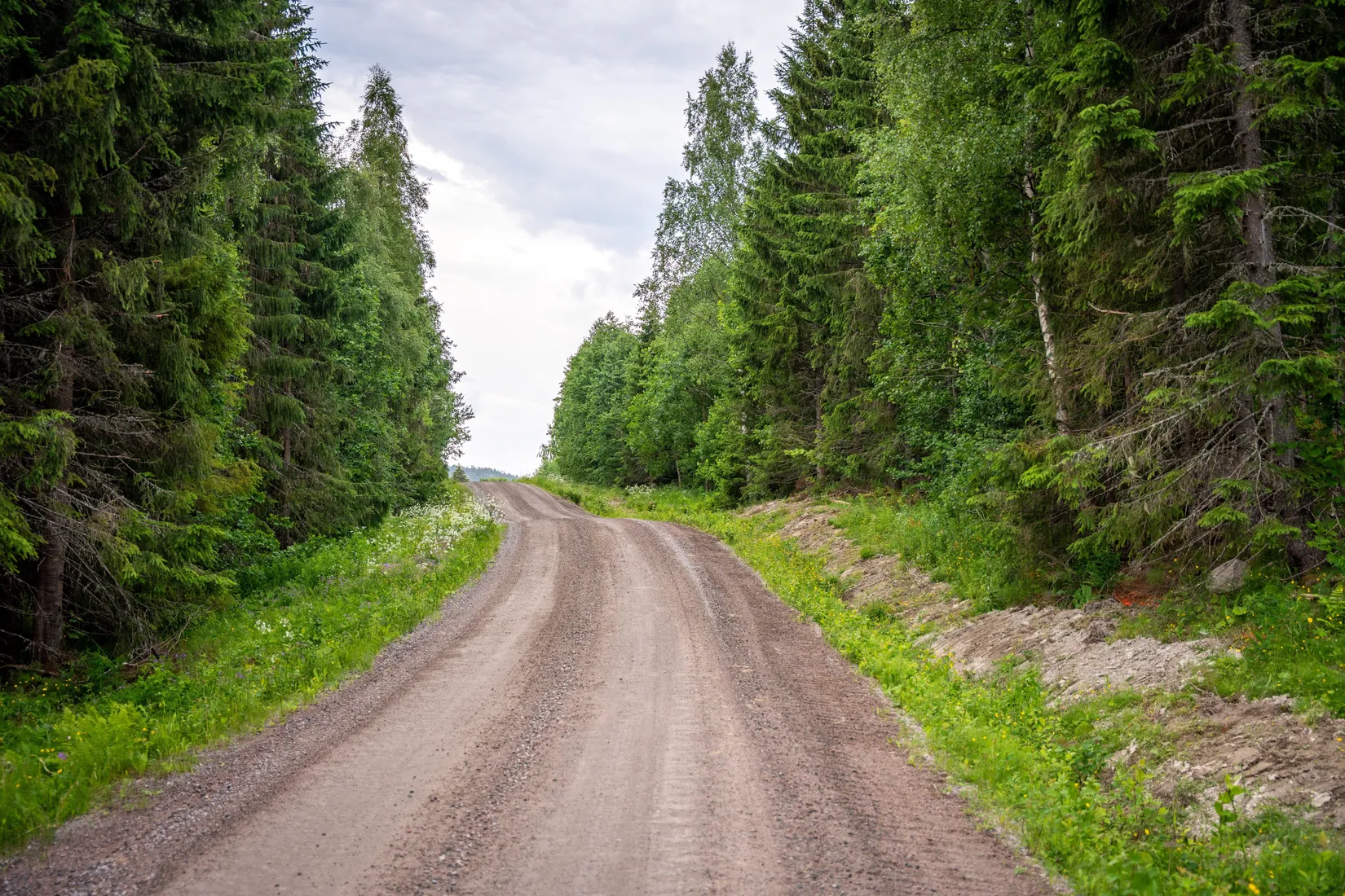 Gård/Skog, KRAMFORS KNÄFTA 3:2 skogen, Kramfors