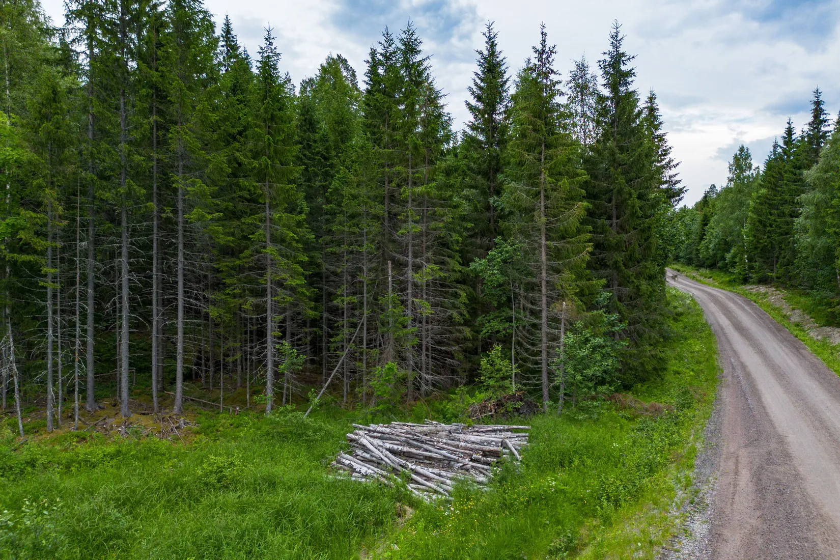 Gård/Skog, KRAMFORS KNÄFTA 3:2 skogen, Kramfors