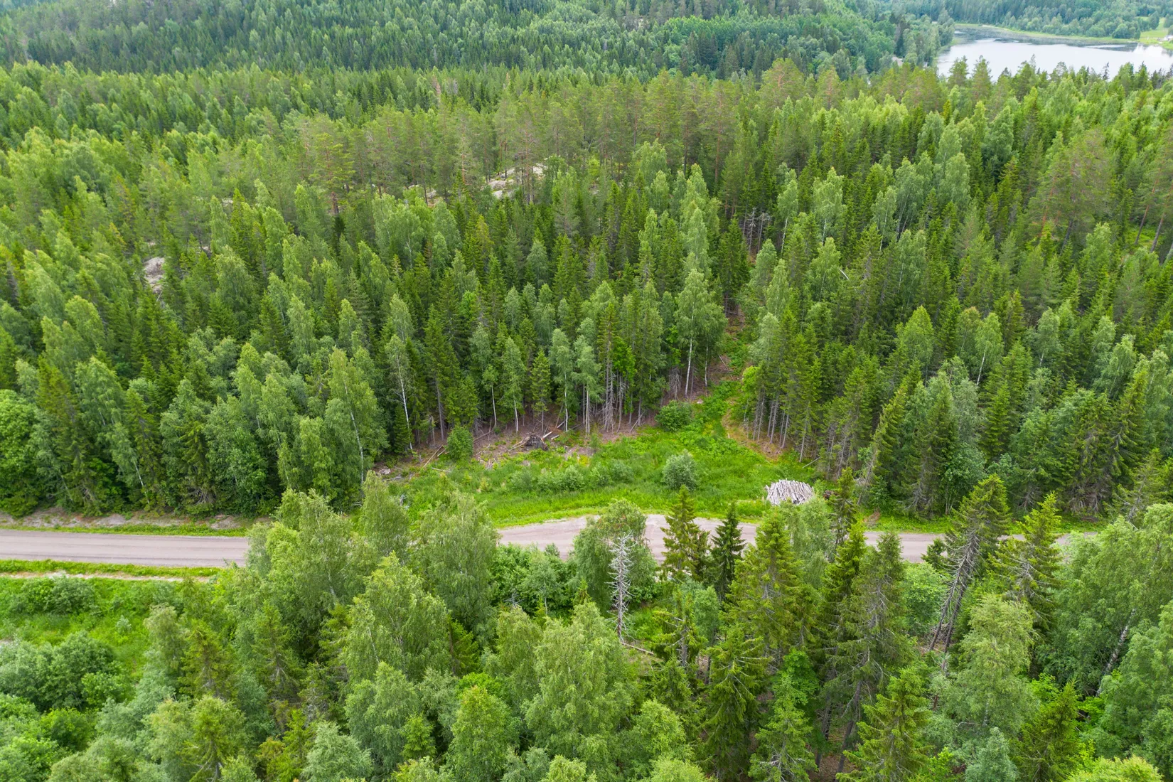 Gård/Skog, KRAMFORS KNÄFTA 3:2 skogen, Kramfors