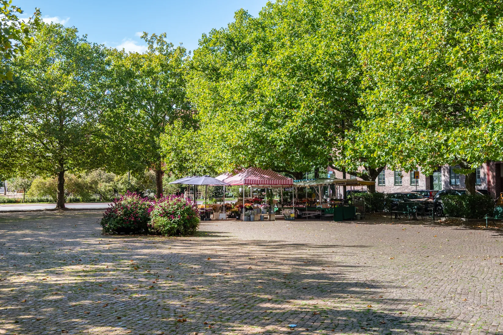 Bostadsrätt, Mäster Palmsgatan 7E, S:t Knut, Malmö