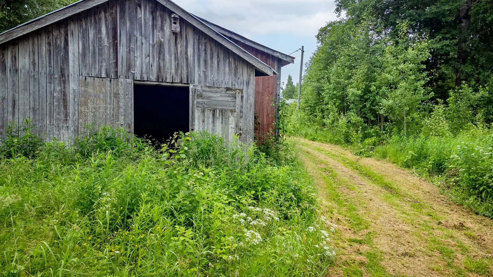 Gård/Skog, Östanskär 213, Östanskär, Sundsvall