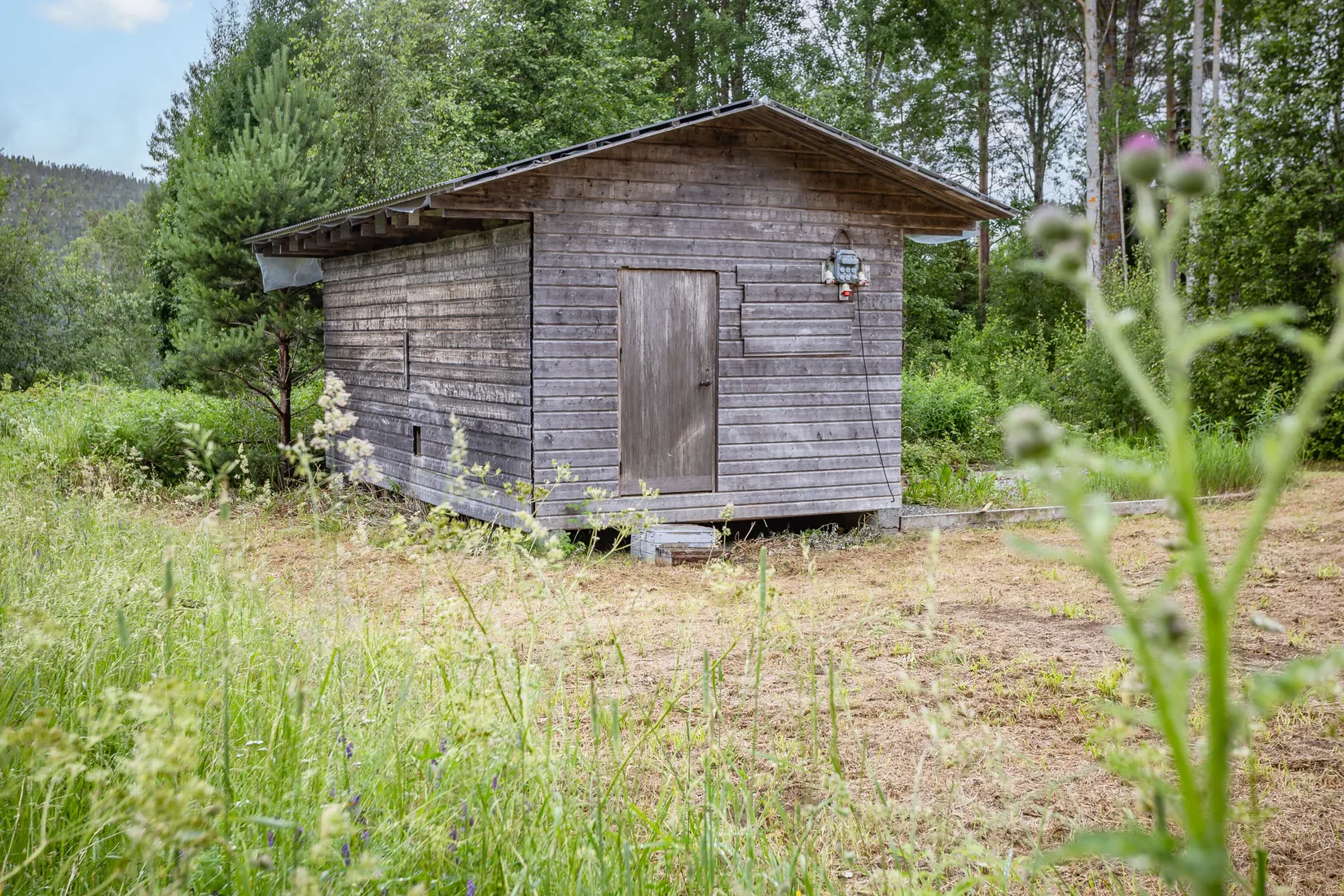 Gård/Skog, Östanskär 213, Östanskär, Sundsvall