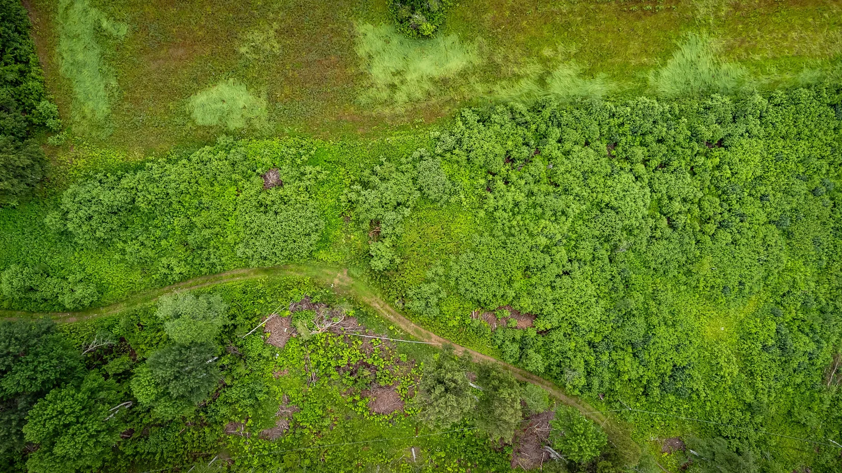 Gård/Skog, Östanskär 213, Östanskär, Sundsvall