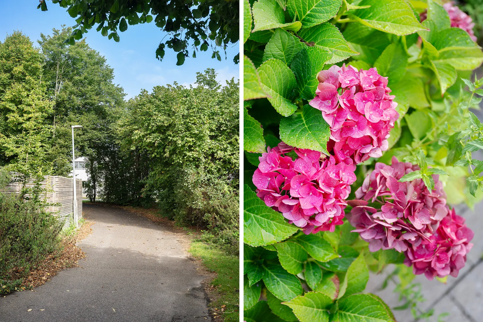 Bostadsrätt, Dikesvägen 16, Arlöv, Burlöv