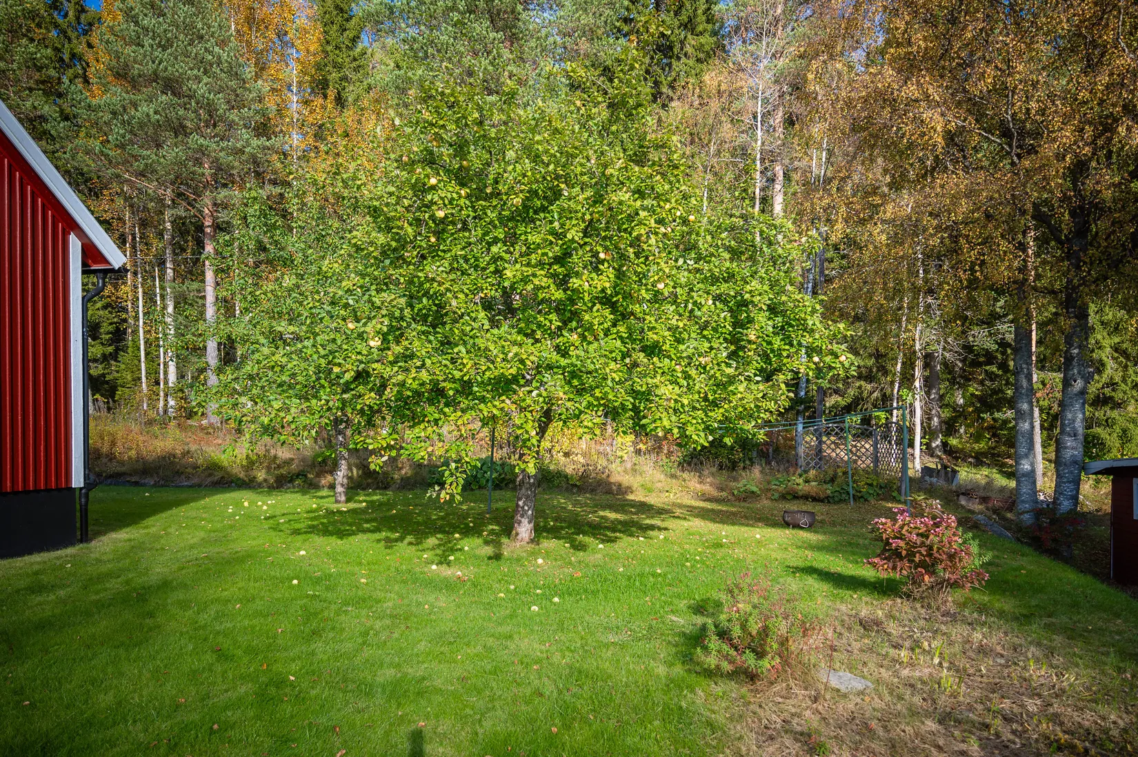 Villa, Dombäcksmark 114, Husum, Örnsköldsvik