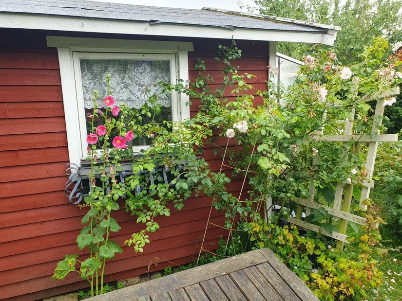 Övrigt, Kolonigatan 1, Hamnabro, Simrishamn