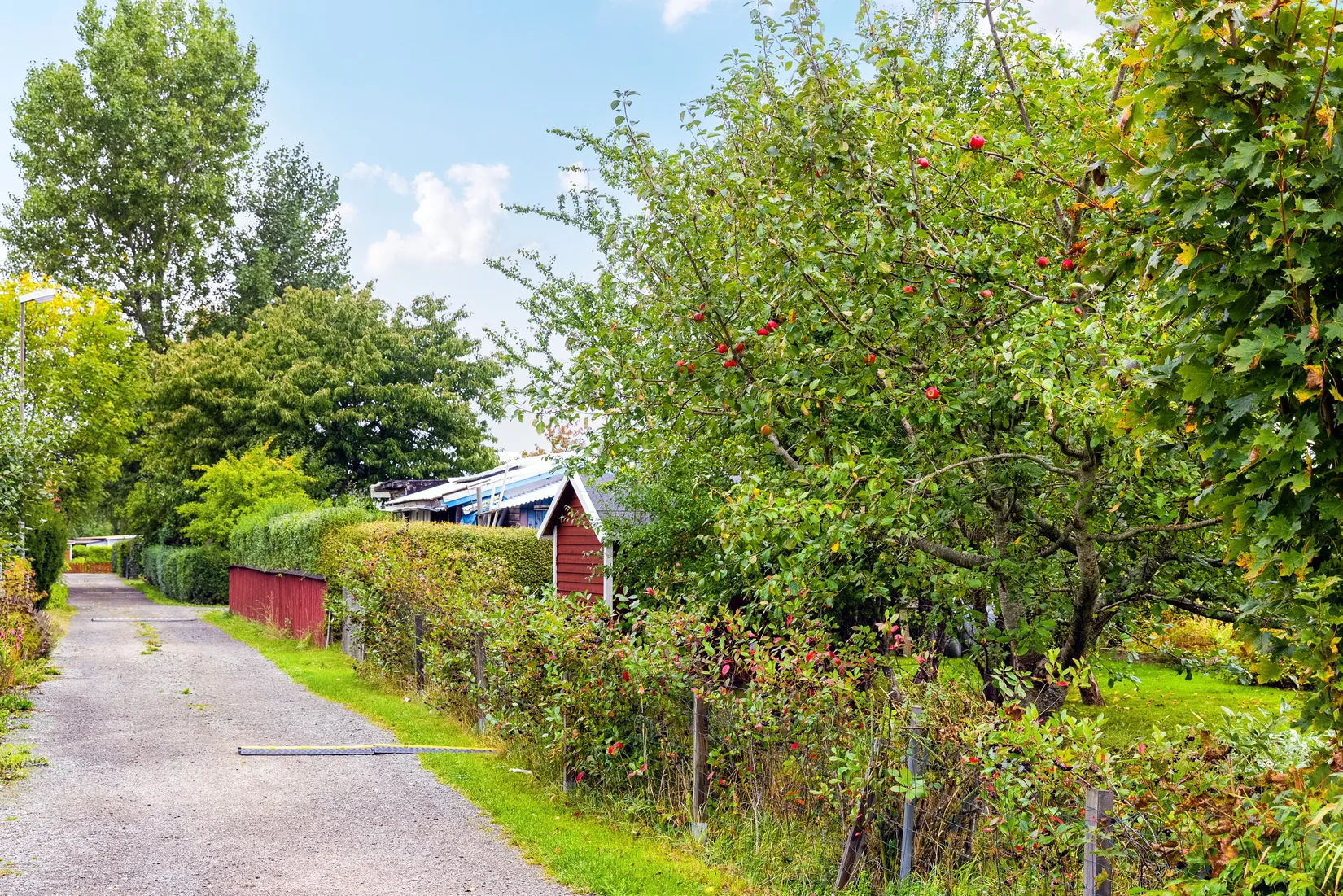 Övrigt, Kolonigatan 1, Hamnabro, Simrishamn