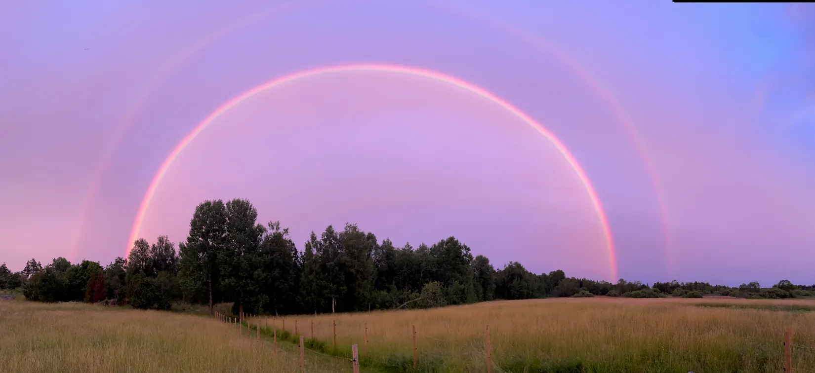 Gård/Skog, Gräsövägen 81 och 83, Gräsö, Norrtälje