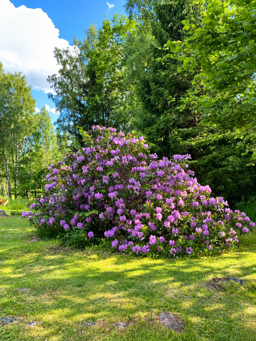 Fritidshus, Handfatet 11, Löparö - Handfatet, Norrtälje