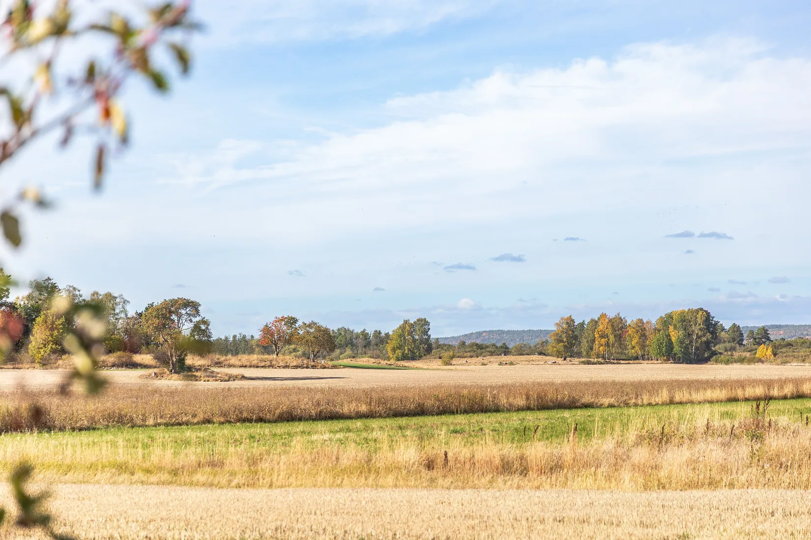 Fritidshus, Knylinge Bjärkestad 2, Östra Harg, Linköping