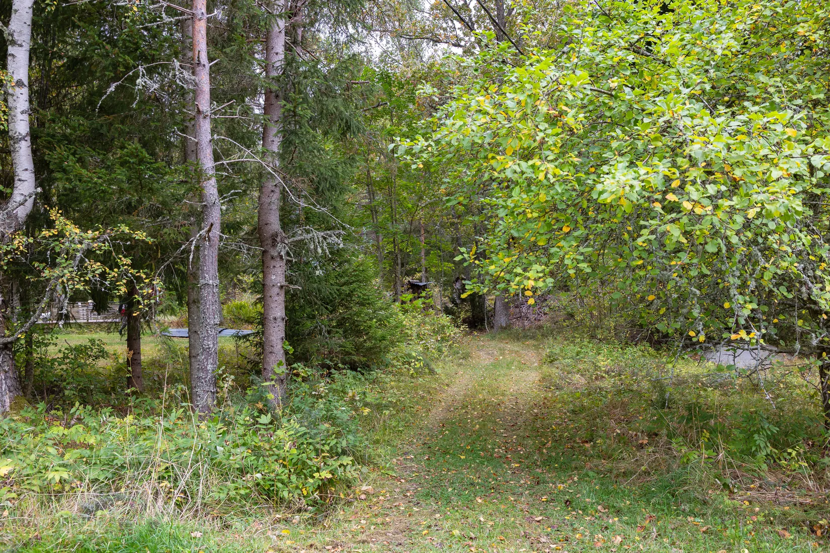 Fritidshus, Måsvägen 14, Länsö, Östhammar