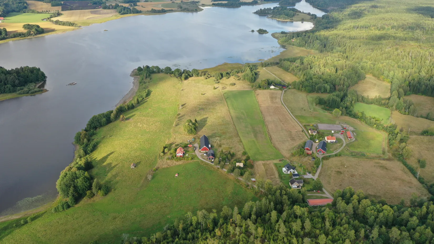 Gård/Skog, Stuveryr 12, Färgelanda