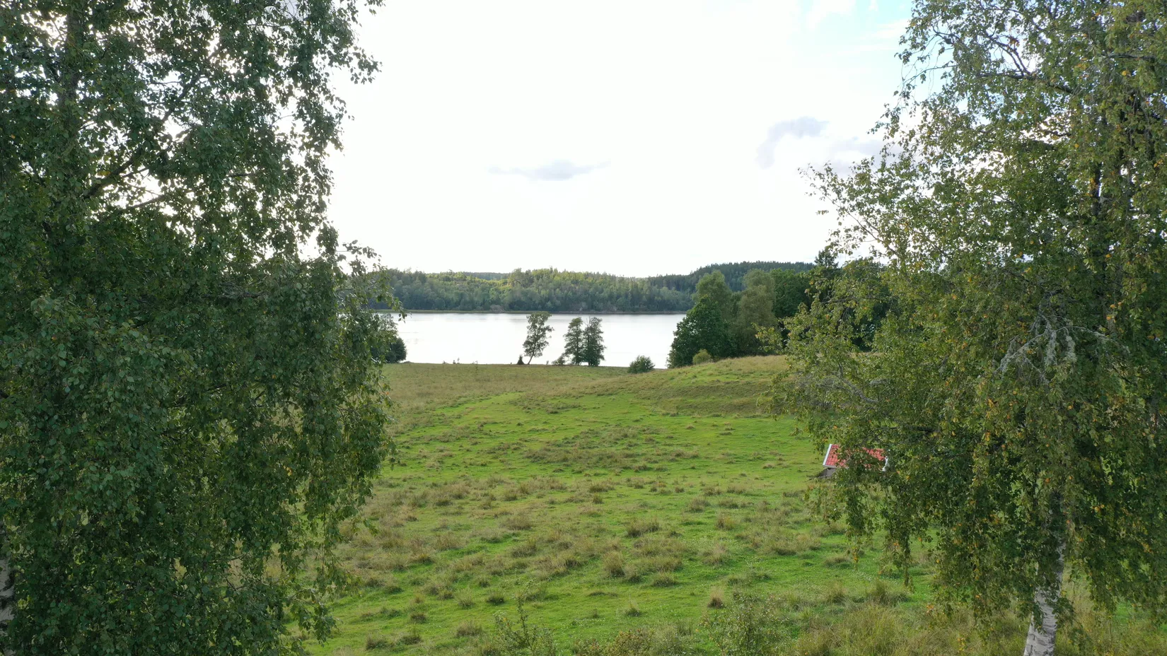 Gård/Skog, Stuveryr 12, Färgelanda