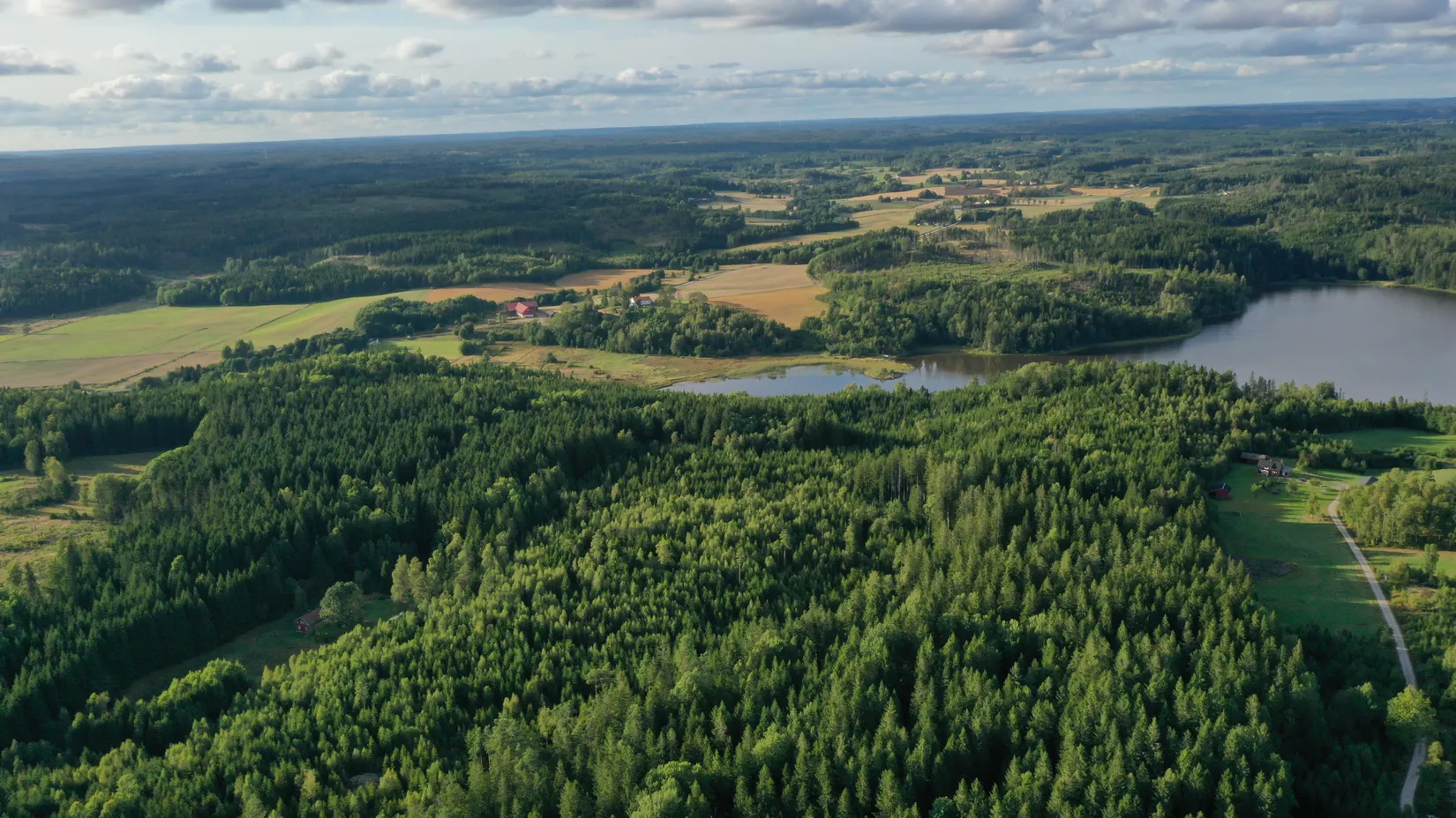 Gård/Skog, Stuveryr 12, Färgelanda