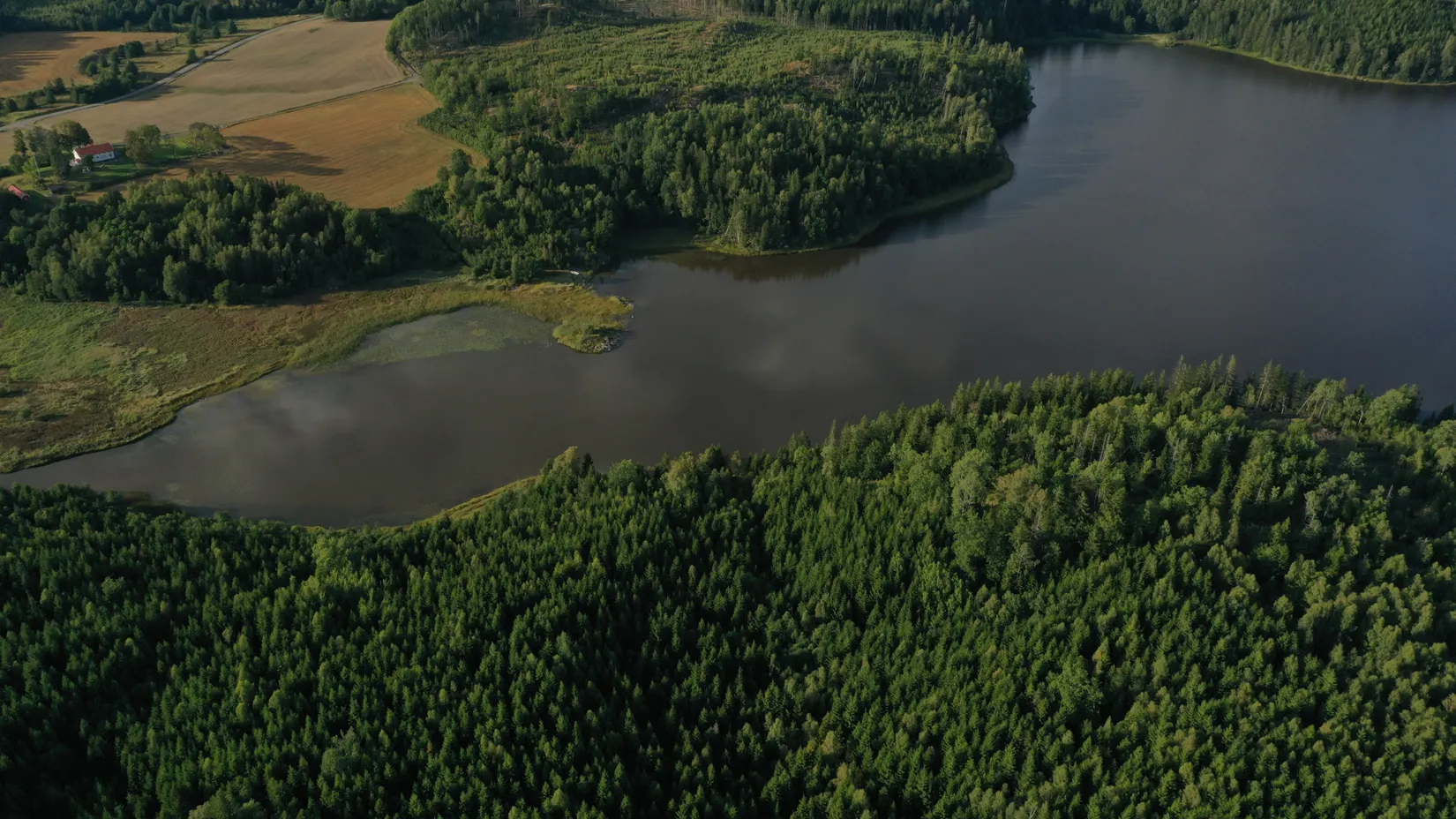 Gård/Skog, Stuveryr 12, Färgelanda