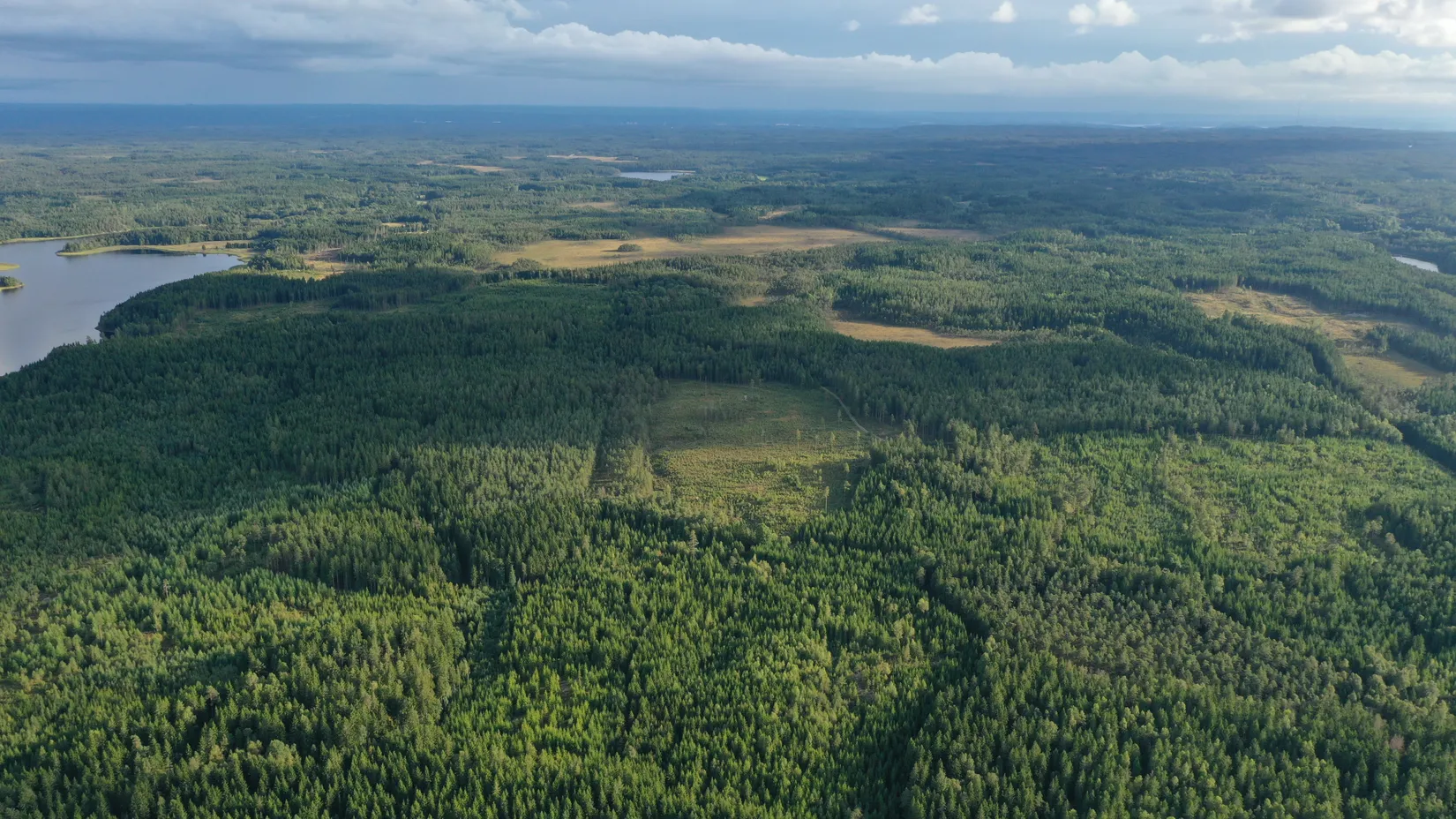 Gård/Skog, Stuveryr 12, Färgelanda