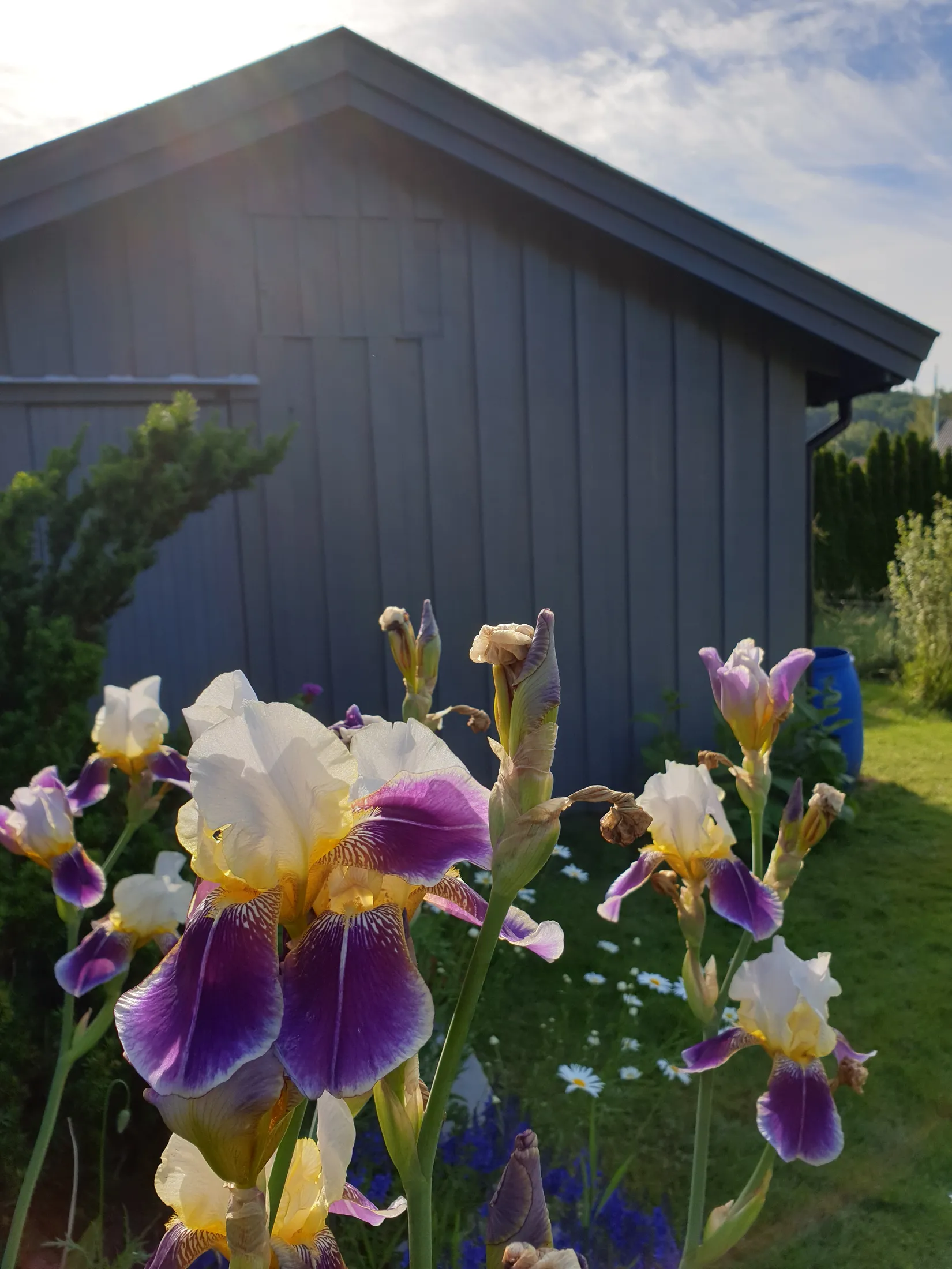 Villa, Bergsvägen 7, Kissleberg, Uddevalla
