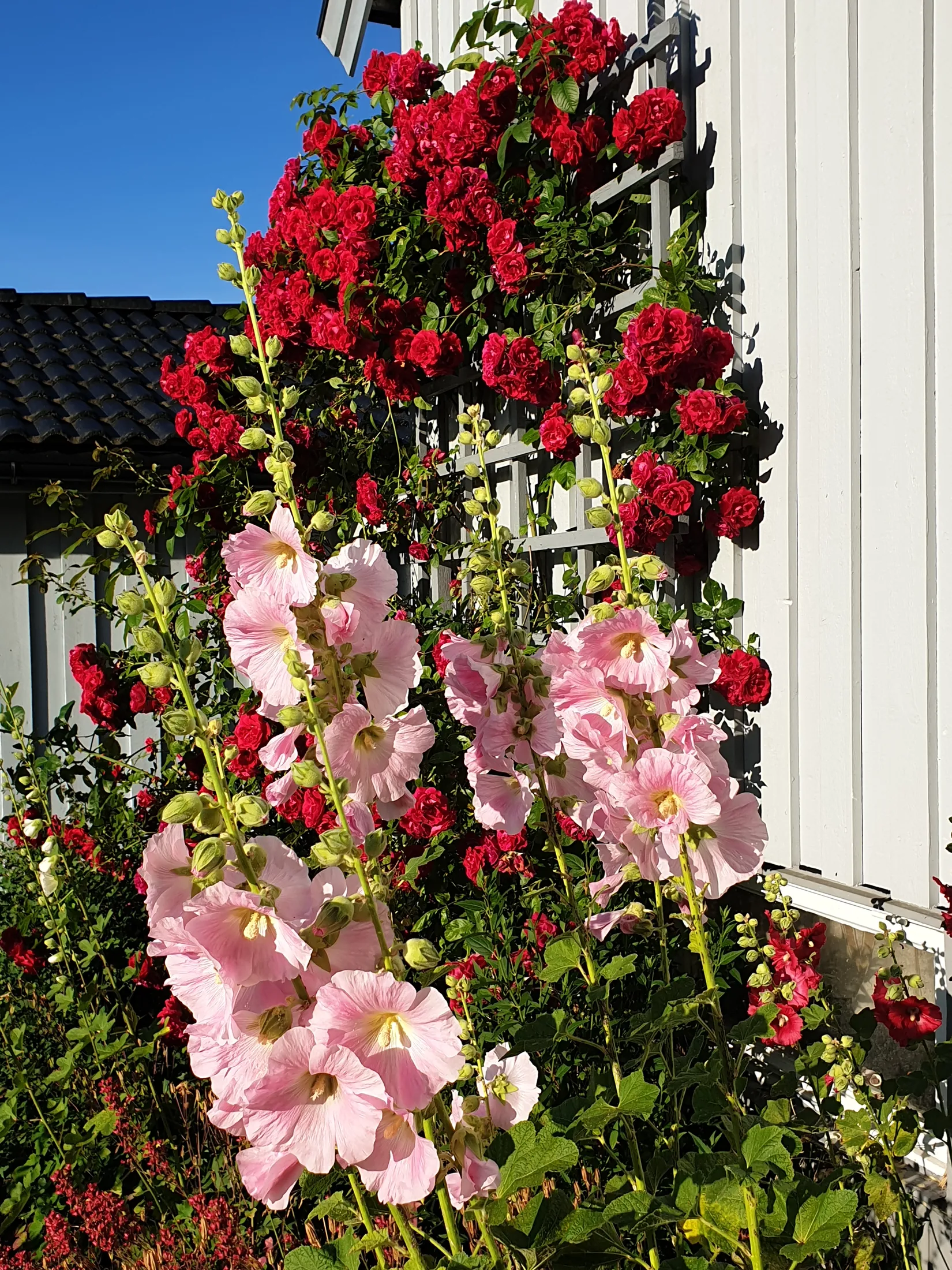 Villa, Bergsvägen 7, Kissleberg, Uddevalla