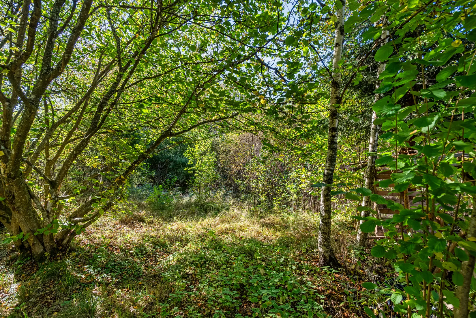 Fritidshus, Stavaröd Orrstigen 1 och 7, Stavaröd - Sösdala, Höör