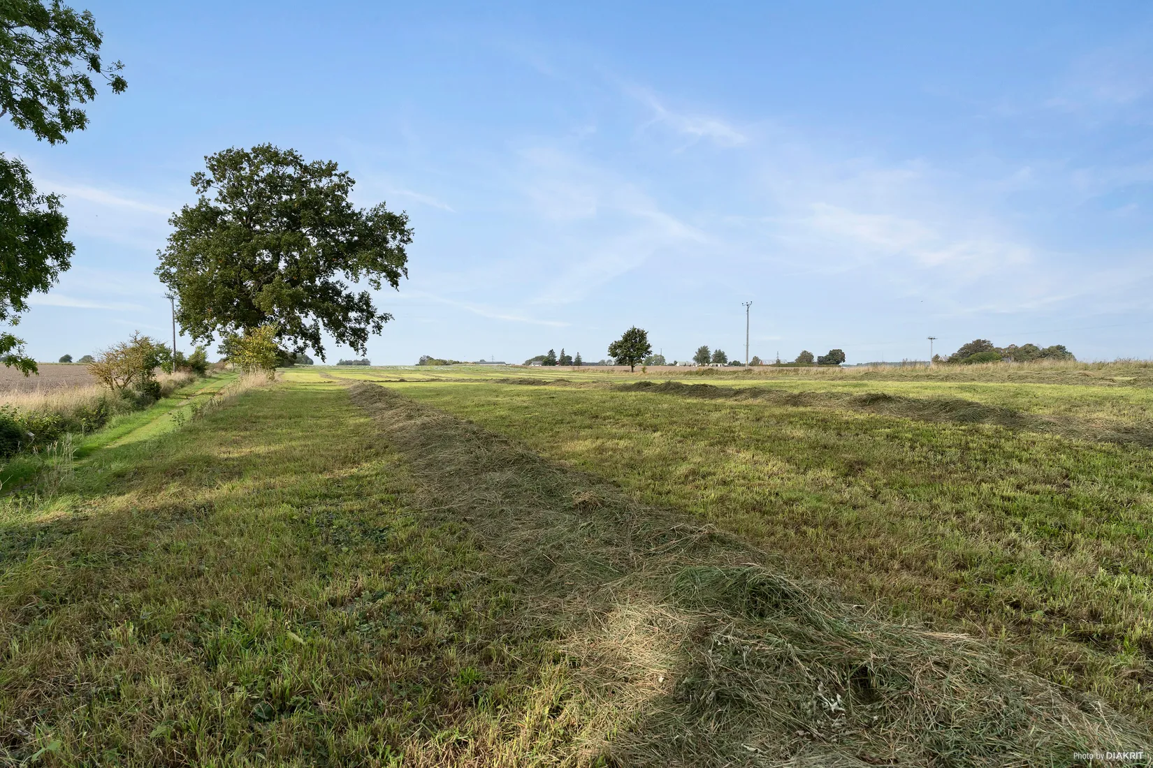 Gård/Skog, Åkermark 7,38 ha i Norra Kverrestad, Norra Kverrestad, Tomelilla
