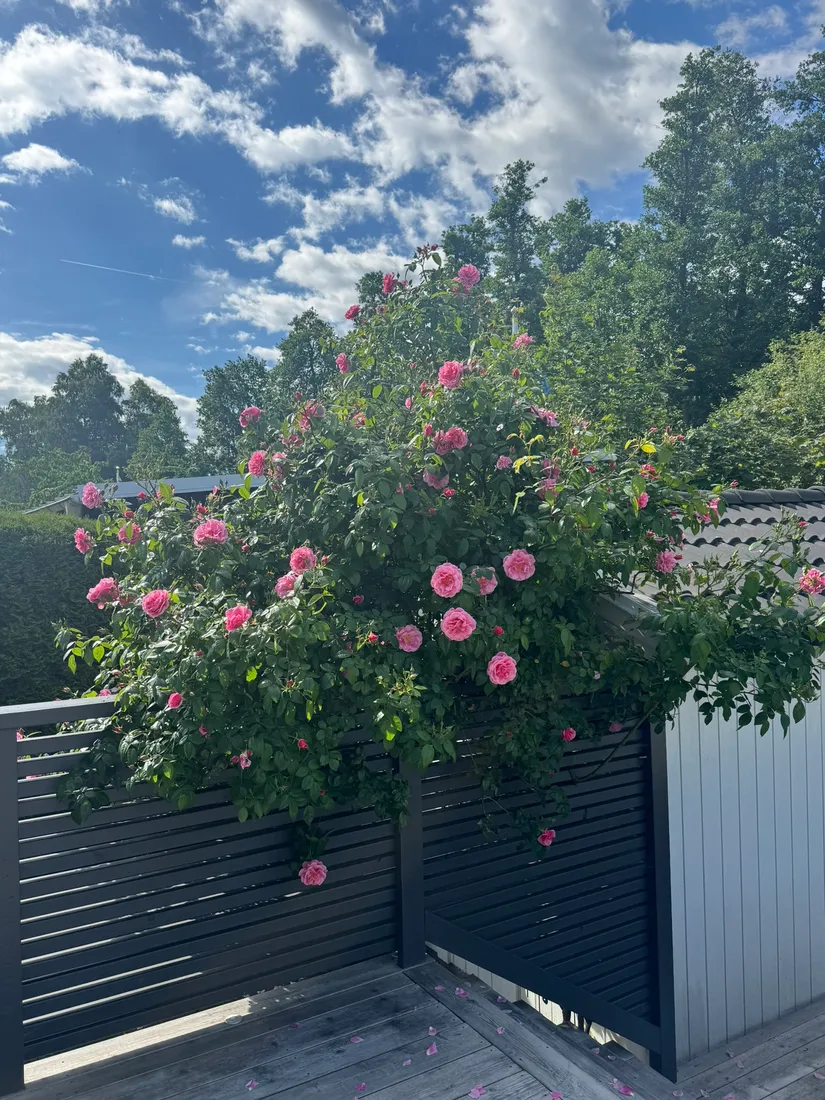 Villa, SÄTTERFJÄRDSVÄGEN 7, Margretelund, Österåker