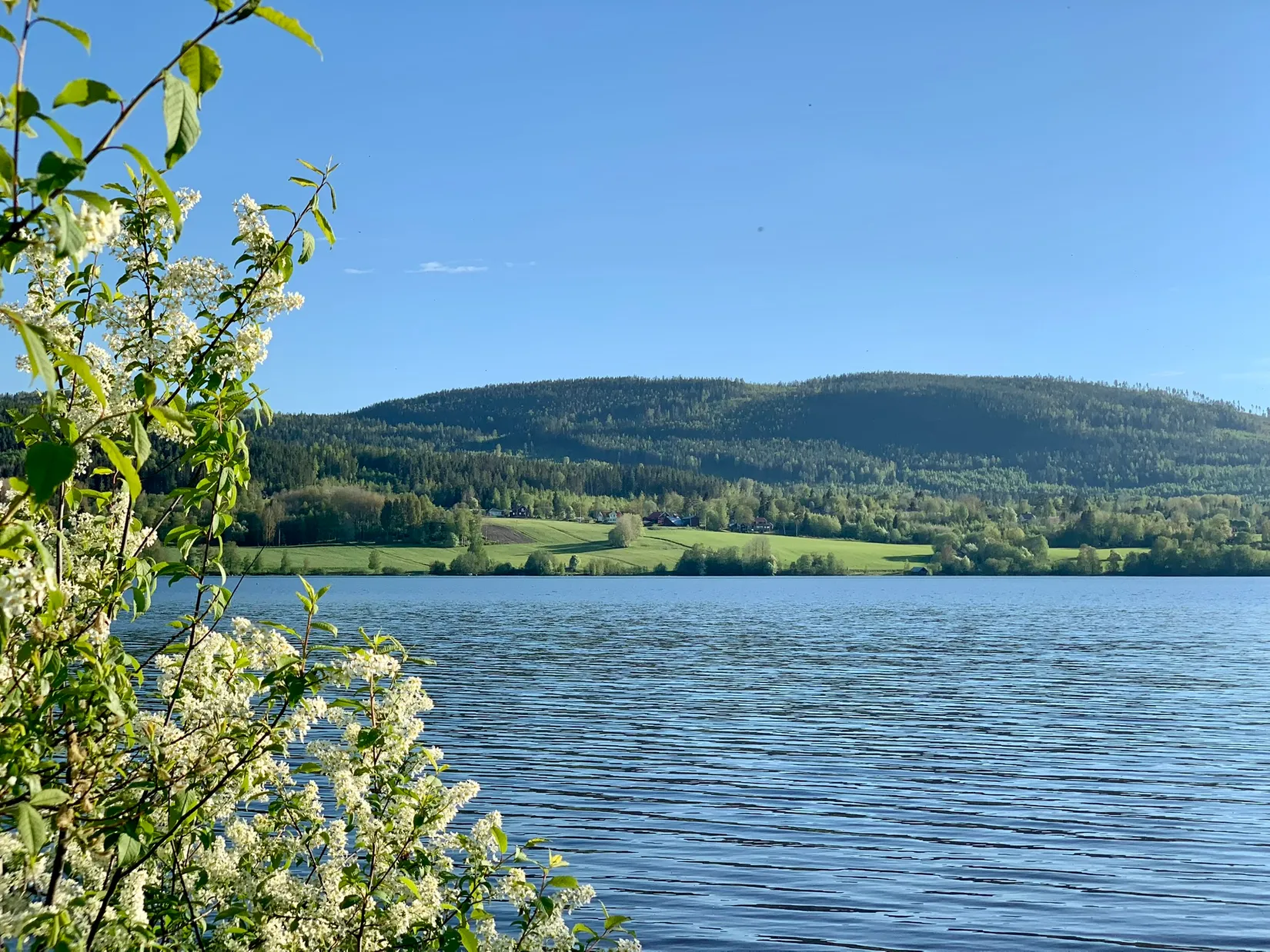 Gård/Skog, Fränstavägen 211, Fränsta, Ånge