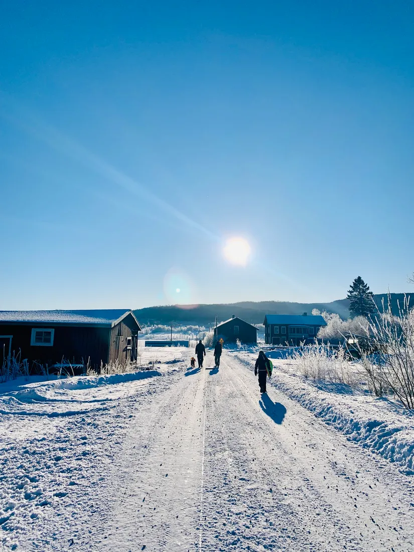 Gård/Skog, Fränstavägen 211, Fränsta, Ånge