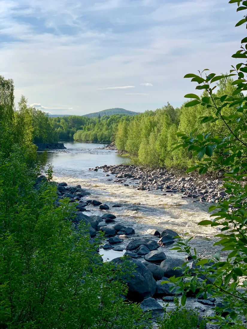 Gård/Skog, Fränstavägen 211, Fränsta, Ånge